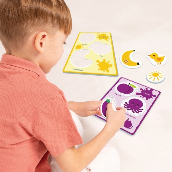 Joc Baby Montessori "Ce culoare este?"