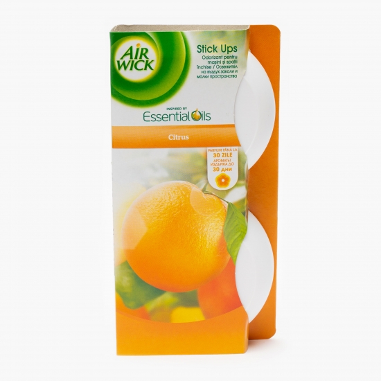 Odorizant cu adeziv Citrus 2x30g