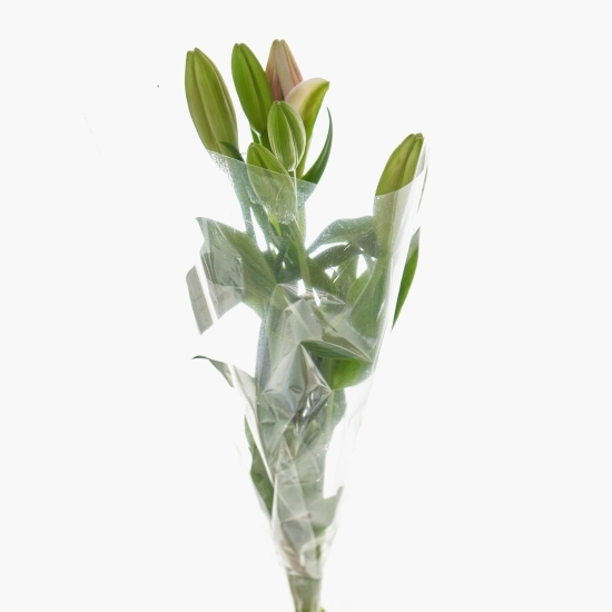 Buchet 3 crini diverse culori