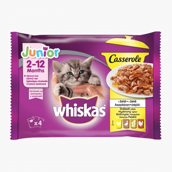 Hrană umedă pentru pisici junior, 4x85g, selecție de pasăre în aspic
