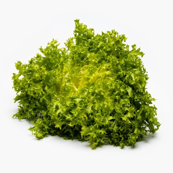 Salată Frisee 1 buc