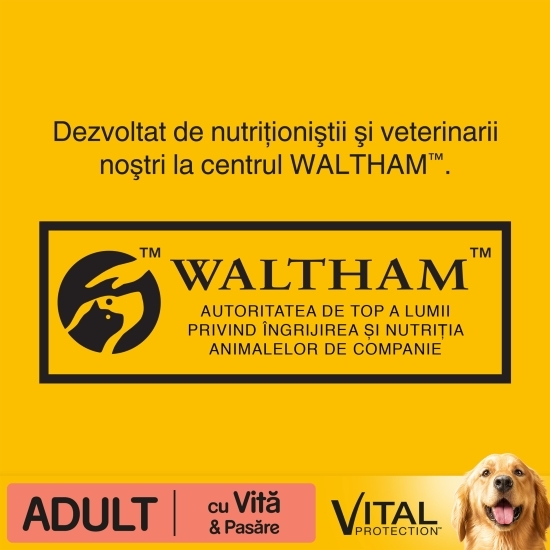 Hrană uscată pentru câini adulți, 15kg, cu vită și pasăre