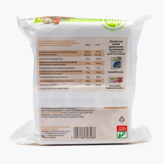 Tartine crocante cu semințe de in, fără gluten 100g