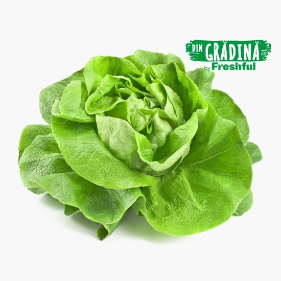 Salată verde eco România