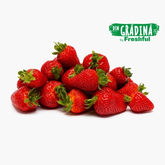 Căpșune Gruberries România 500g