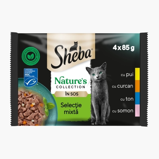 Hrană umedă pentru pisici adulte, 4x 85g, selecție mixtă în sos