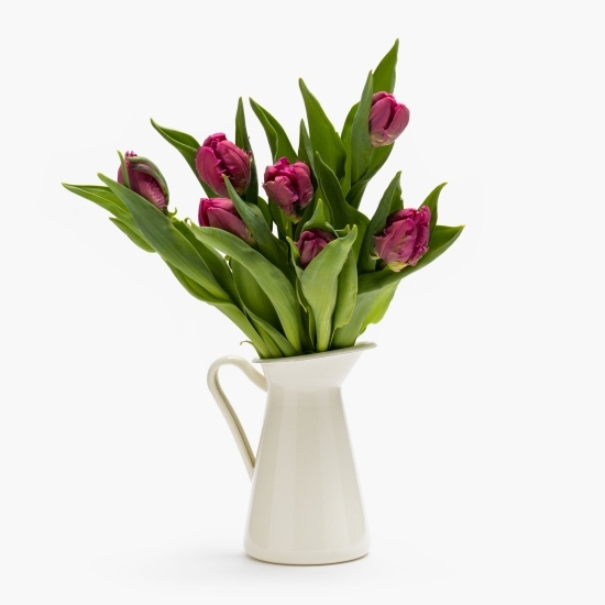 Buchet lalele crețe violet, 7 fire