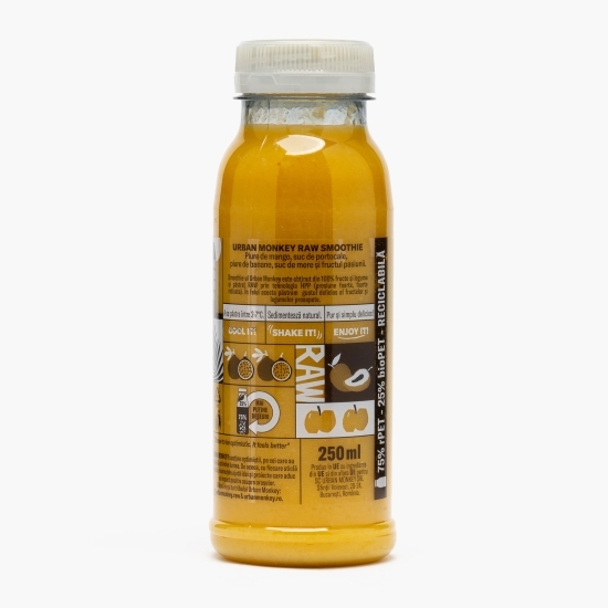 Raw smoothie Mango Punch 0.25l 