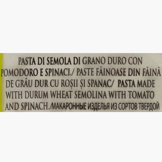 Paste Penne rigate tricolore 500g