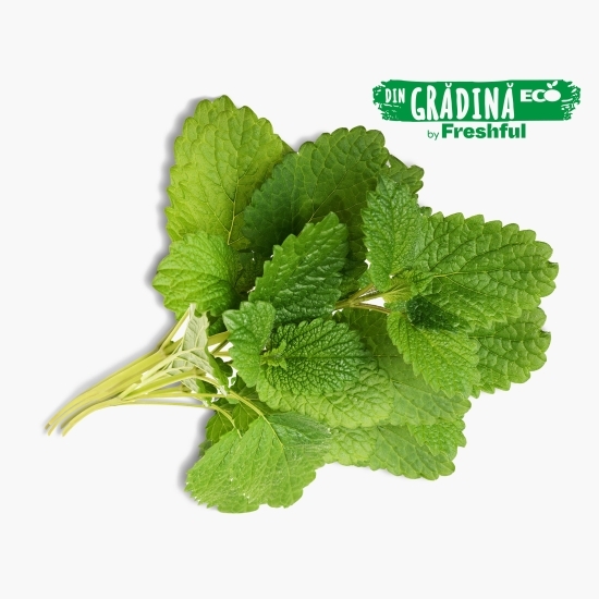 Roiniță eco 50g