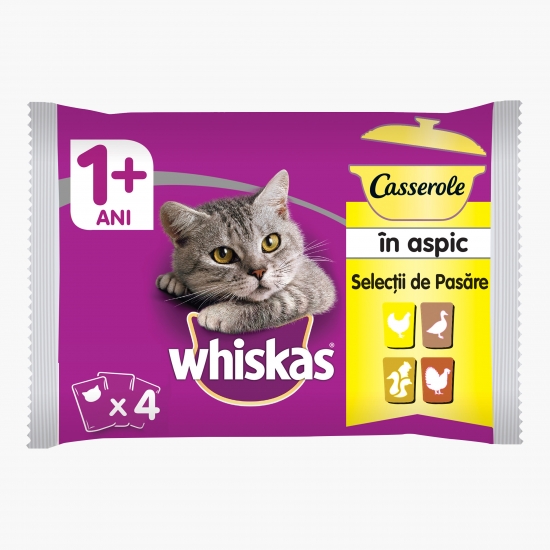 Hrană umedă pentru pisici adulte, 4x85g, selecții de pasăre în aspic