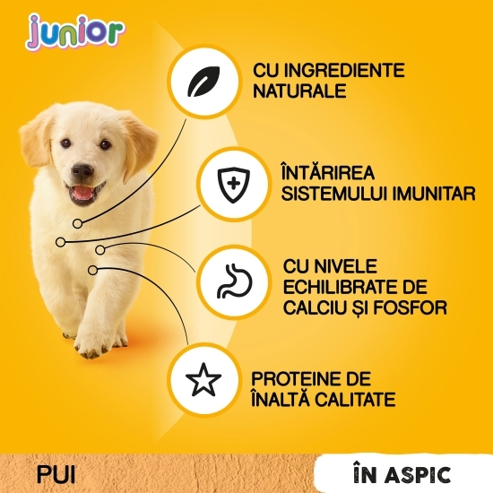 Hrană umedă pentru câini juniori, 100g, cu pui în aspic