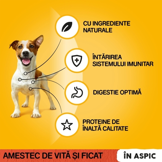 Hrană umedă pentru câini adulți, 100g, cu vită în aspic