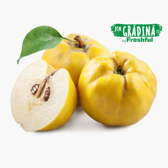 Gutui România, anul 2 conversie ECO 1kg