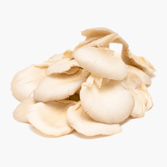Ciuperci pleurotus România 500g