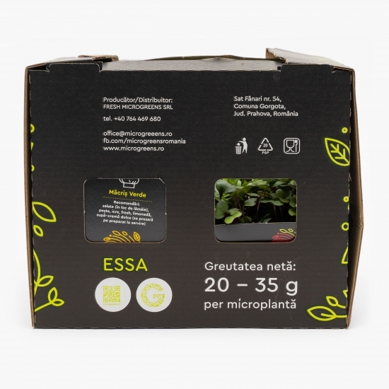 Mix de microplante pentru salată (varză roșie, măcriș verde, floarea-soarelui, mazăre)