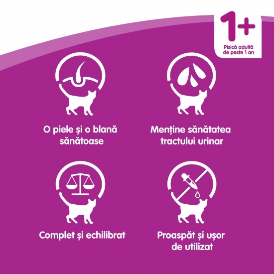 Hrană umedă pentru pisici adulte, 85g, cu vită în aspic