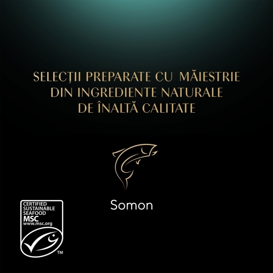 Hrană umedă pentru pisici adulte, 85g, cu somon în sos