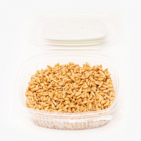 Germeni grâu eco 180g
