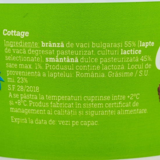 Brânză Cottage cu smântână 175g