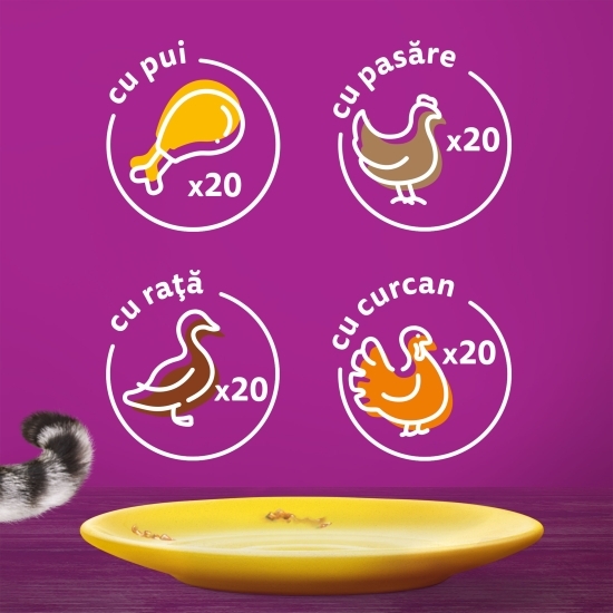 Hrană umedă pentru pisici adulte,80x85g, cu carne de pasăre în aspic 