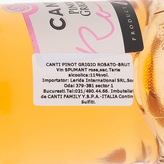 Vin spumant rose brut Pinot Grigio Spumante, 11%, 750ml