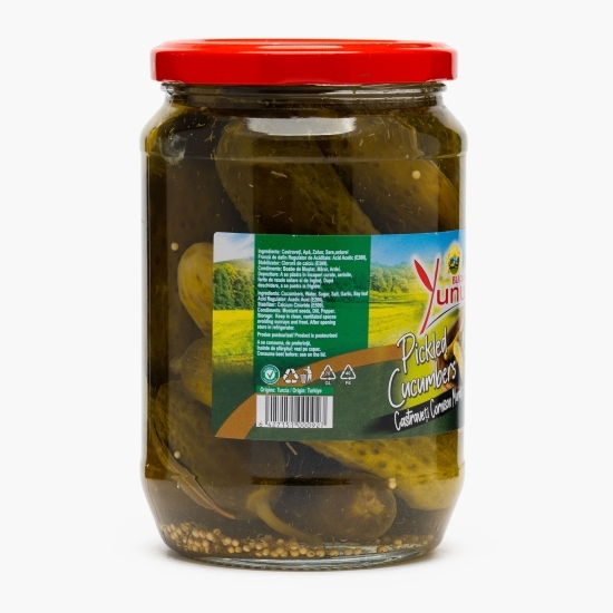 Castraveți murați, 670g