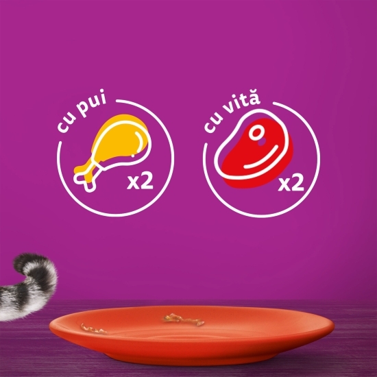 Hrană umedă pentru pisici adulte, 4 x 85g, Selecții clasice în sos de carne