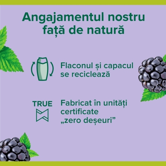 Gel de duș Smoothies, Velvety Blackberry 0.5l