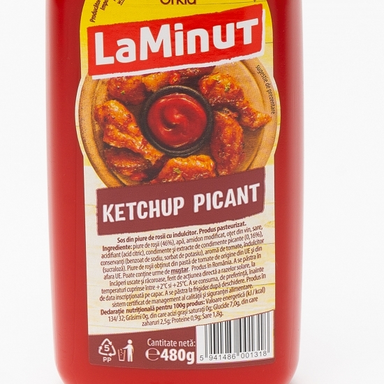 Ketchup picant 480g