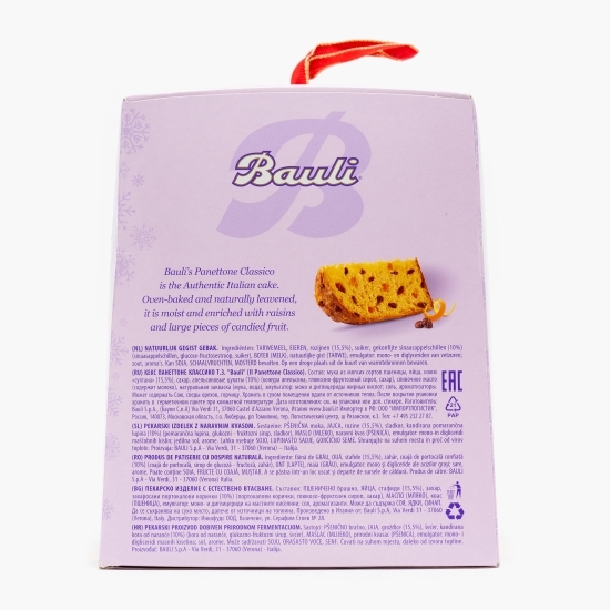 Panettone 500g