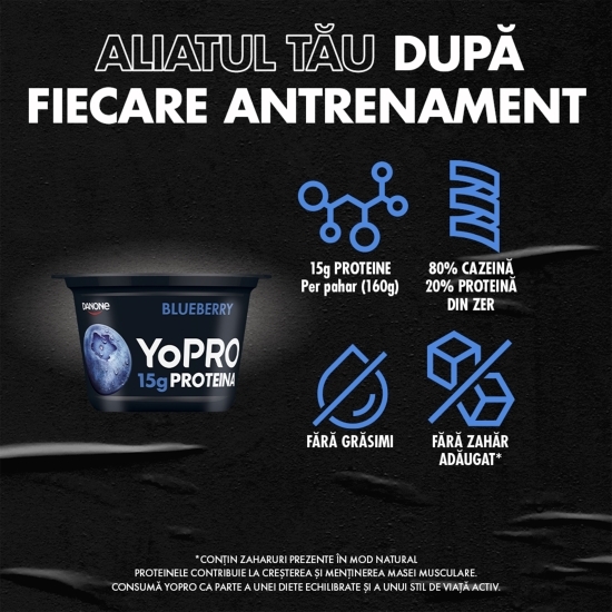 Produs lactat fermentat cu afine și îndulcitori, bogat în proteine, 0.1% grăsime, 160g