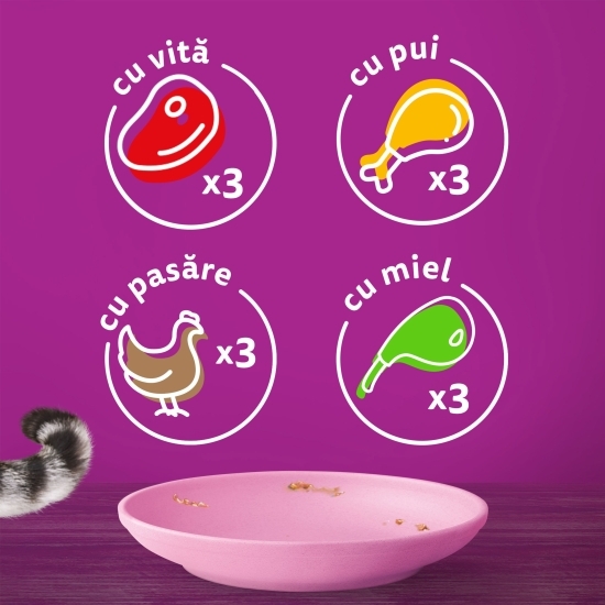 Hrană umedă pentru pisici junior, 12x85g, Mese Clasice în sos cu vită, pui, miel și pasăre