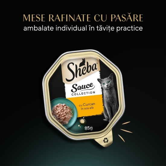 Hrană umedă pentru pisici adulte, curcan în sos alb, 85g