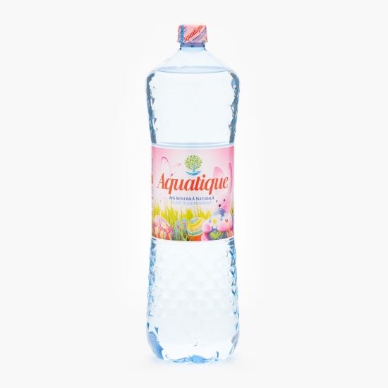 Apă minerală naturală plată 2l