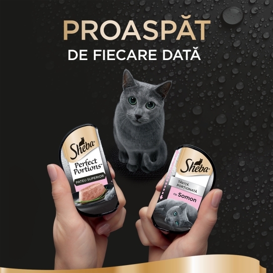 Hrană umedă pentru pisici adulte, 6x37.5g, Perfect Portions cu somon