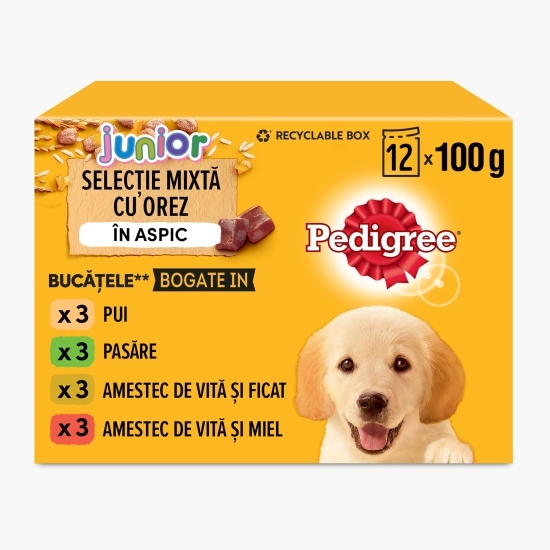 Hrană umedă pentru câini juniori, 12x100g, selecție de carne cu orez în aspic