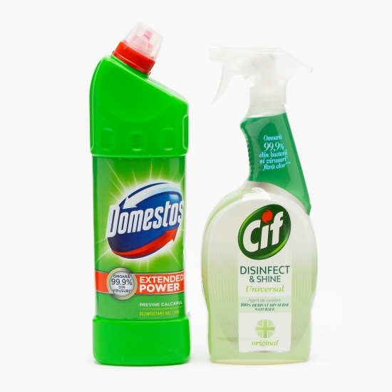 Pachet dezinfectant Pine 1l + Spray Power & Shine 750ml