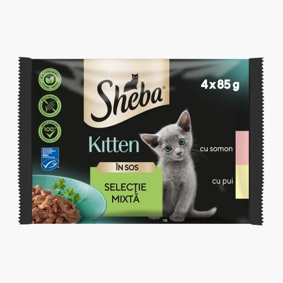 Hrană umedă pentru pisici junioare, 4x 85g, selecție mixtă în sos
