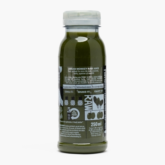 Raw juice Iron WOWman 0.25l