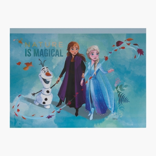 Set desen gentuță de creație Frozen 3+ ani