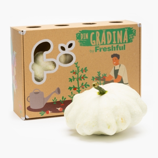 Dovlecel patison alb România 1 buc, minim 400g