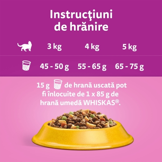 Hrană uscată pentru pisici adulte, 300g, cu pui