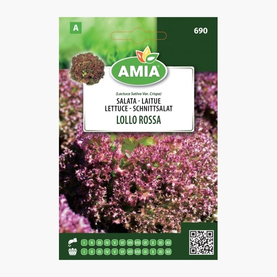Semințe salată Lollo Rossa 1.8g