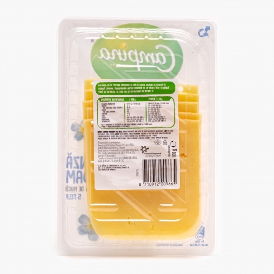 Brânză Maasdam felii 100g