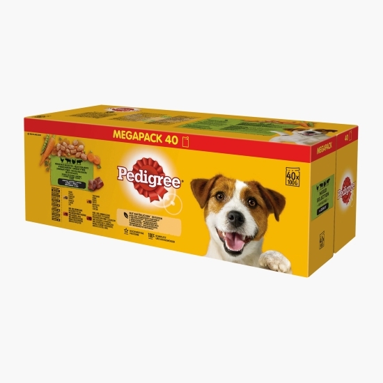 Hrană umedă pentru câini adulți, 40 buc x 100g, pliculețe Vital Protection