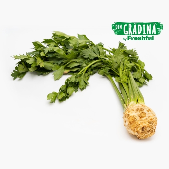 Țelină cu frunze România 1 legătură Camen din Băleni
