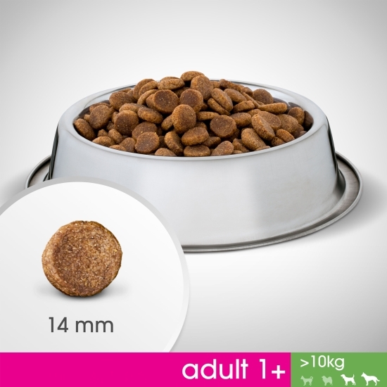 Hrană uscată pentru câini adulți de talie medie și mare, 1.4kg, cu pui