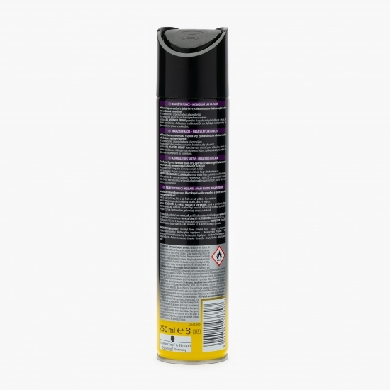 Fixativ Power Express (5) pentru păr 250ml