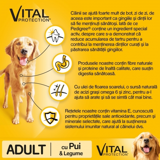 Hrană uscată pentru câini adulți, 2.6kg, Vital Protection cu pui și legume